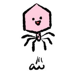 Doodle bacteriophage