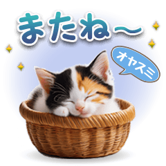 ねこちぃずNEO★日常スタンプ