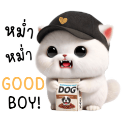 Udon: Funny white cat