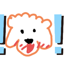 minorin_20240813154245