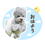 aimer sticker.