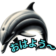 Whimsical Dolphin Sayings