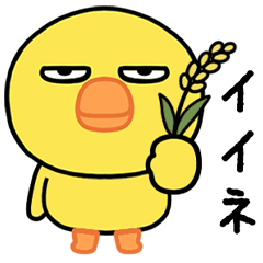 目つきの悪いヒヨコ(ダジャレ)