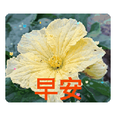 月蘭動圖08