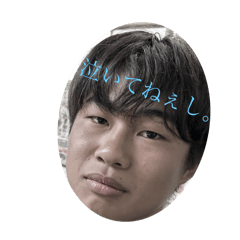html_20240813181123