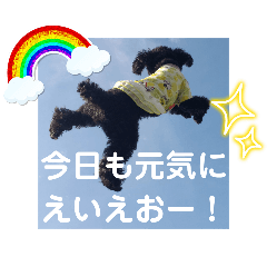 chiiaki_20240813221535