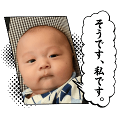 marisuke_20240814022659