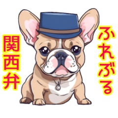 French Bulldog speaking Kansai dialect.