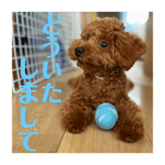 merci and life_20240813233726