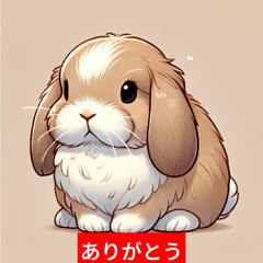 "Adorable Holland Lop Bunny Stickers"