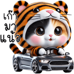 Cute little cat in 3 colo - tiger outfit