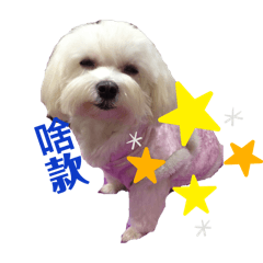 毛小孩俱樂部