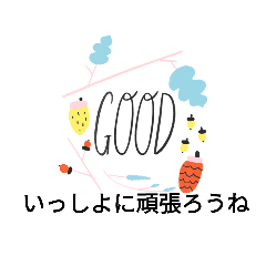 minorin_20240814155035