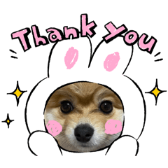 Sayuri_20240814155438