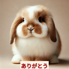 Charming Holland Lop Bunny Stickers