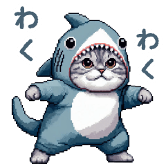 Shark onesie cat