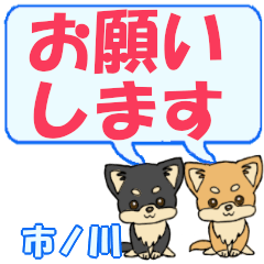 Ichinokawa's letters Chihuahua2