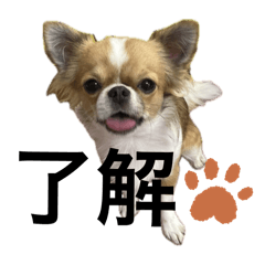 Dan_20240814220031