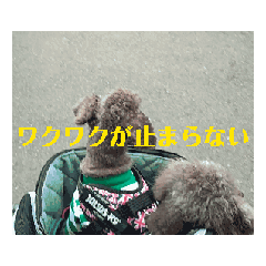 balveniehaus_themovie01