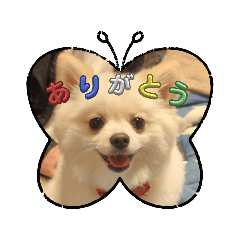 Rinn_20240815014042