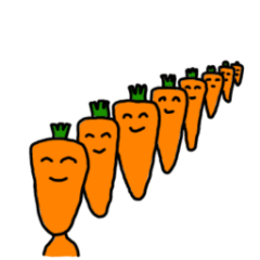 Carrot human