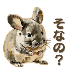 Chinchilla : A Cute, Agreeable Sticker