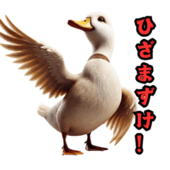 The Majestic Emperor Duck!