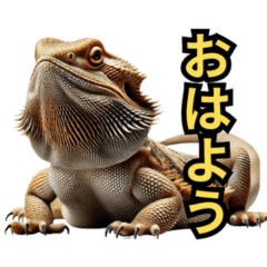 Bearded Dragon Gecko Daily Chat Stickers