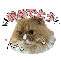 Shinji Yurino_20240814232638