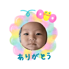 PinkLotus_20240815105727