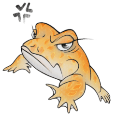 Dcsh Frog