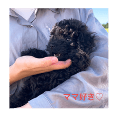 choc_20240815093725