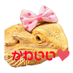 tori_202408151442