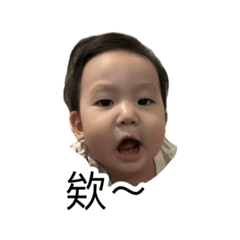 CC_one year
