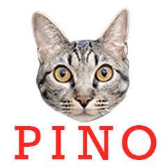 Greetings from Pino