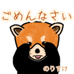 Norisuke's lesser panda