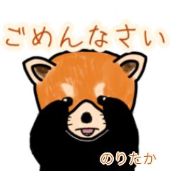 Noritaka's lesser panda