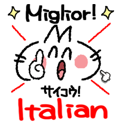 イタリア語。可愛い猫