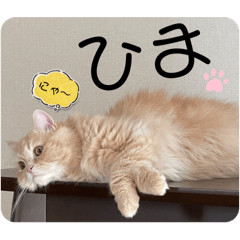 potato.oishii_20240815232259