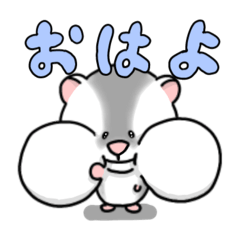 SHUU_20240814222839