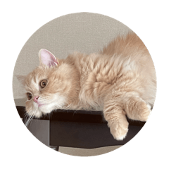 potato.oishii_20240815224923