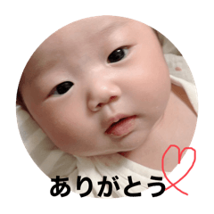 p-tan_20240815112257