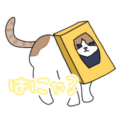 nyanyako_20240816140331