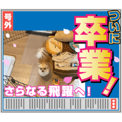 今日の結月のちゃっかり武勇伝