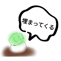 daikon_20240816095252