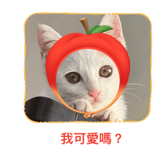 恆春小湯子