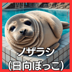 A laidback seal