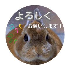 poccha_20240816175621