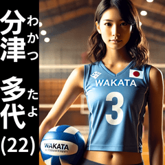 fictional volleyball player