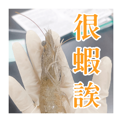 實拍動物好朋友-2